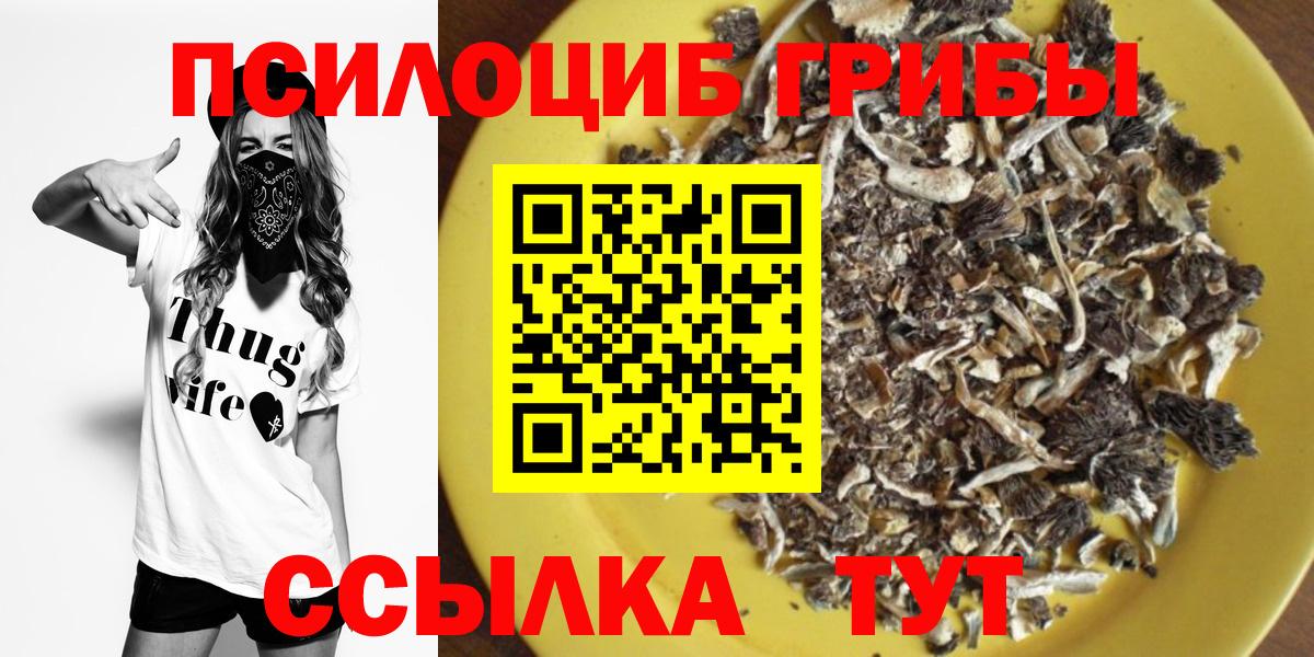 Галлюциногенные грибы Psilocybe Альметьевск